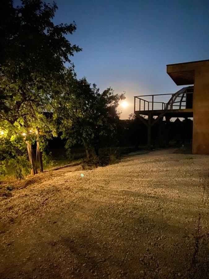 Nuit'S Feerique En Champagne Villa Meurville Exteriör bild