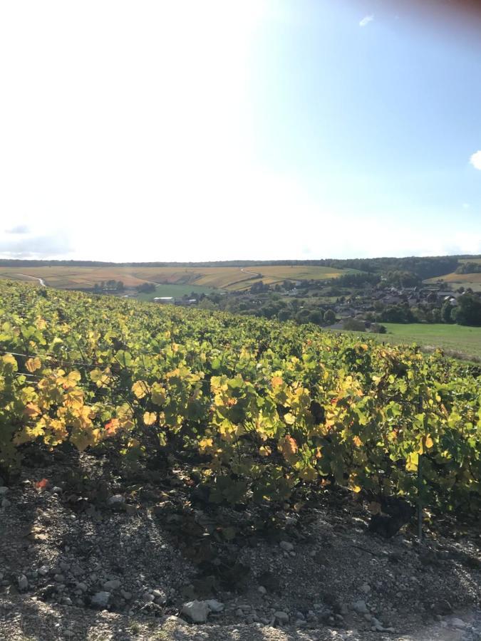 Nuit'S Feerique En Champagne Villa Meurville Exteriör bild