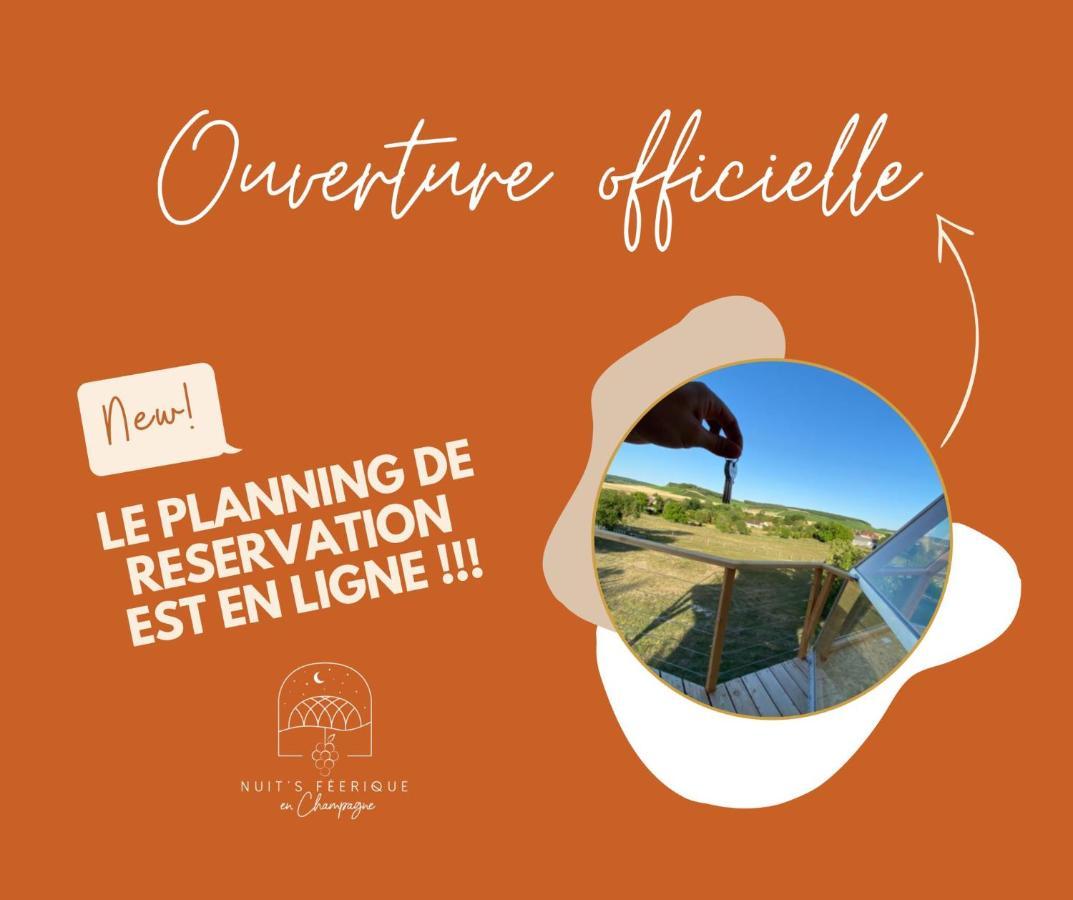 Nuit'S Feerique En Champagne Villa Meurville Exteriör bild